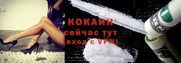 винт Инсар