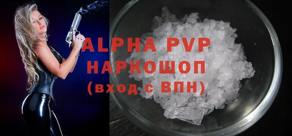 стаф Инта
