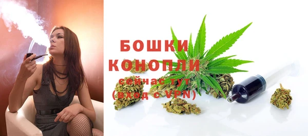 спайс Каменка