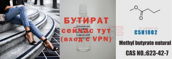 стаф Инта