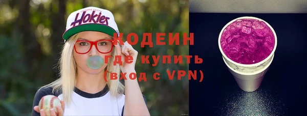 стаф Инта