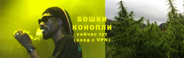 спайс Каменка