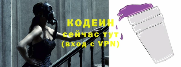 стаф Иннополис