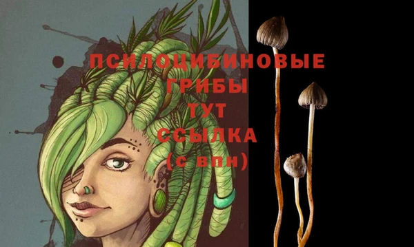 mix Каменногорск