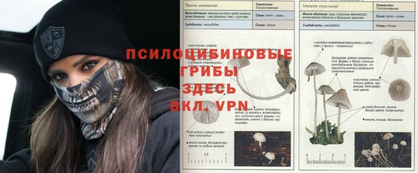 винт Инсар