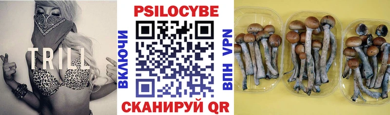 Псилоцибиновые грибы мухоморы Инта